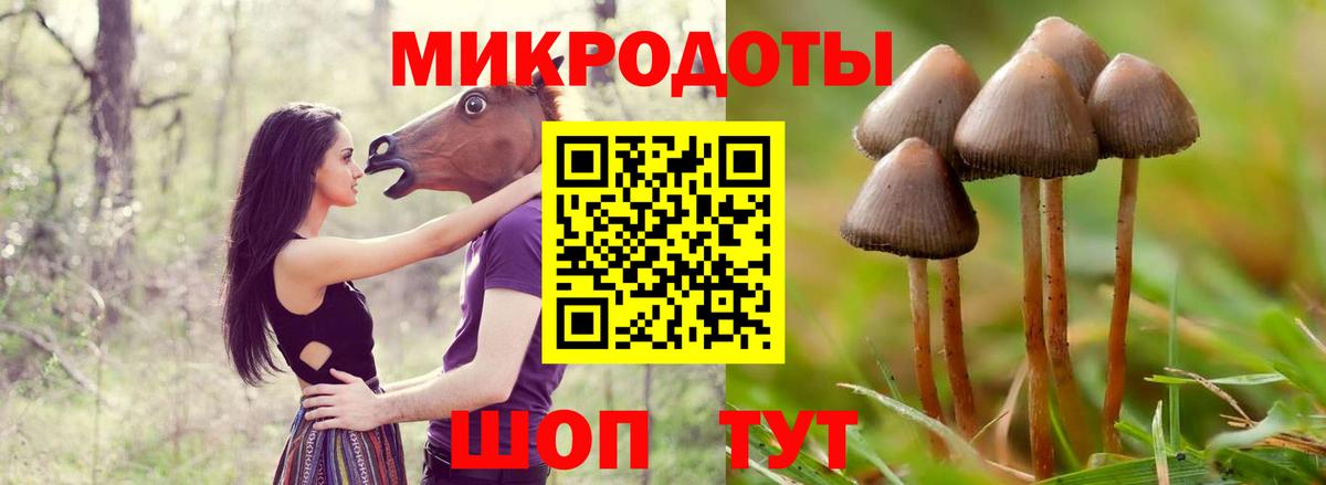 Псилоцибиновые грибы GOLDEN TEACHER  Вход с VPN  Коряжма  Псилоцибиновые грибы Psilocybine cubensis 